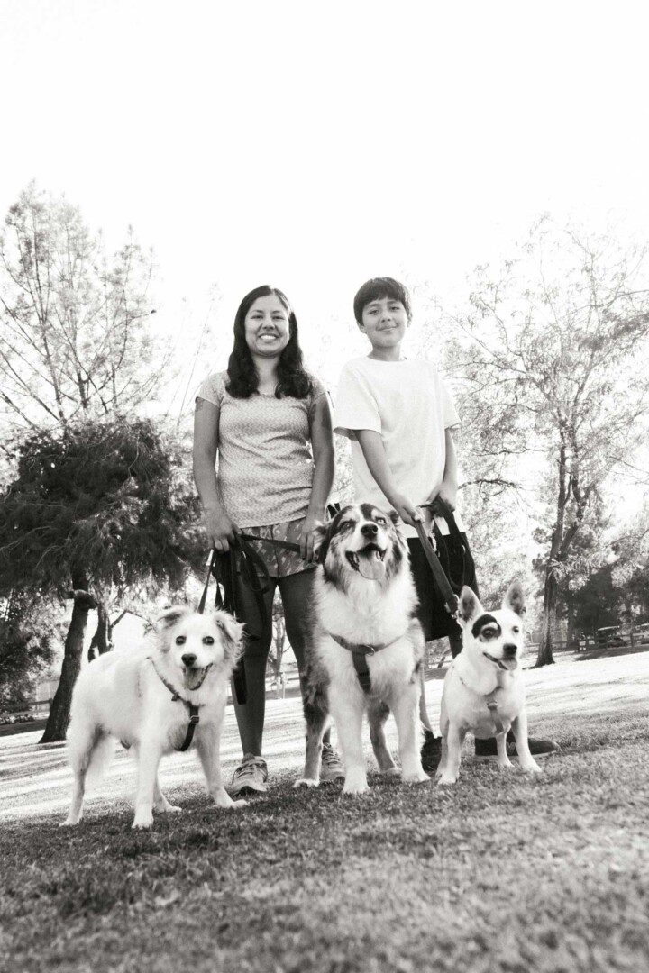 Two people and four dogs in a park.