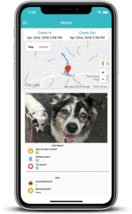 A phone with an image of two dogs on it.