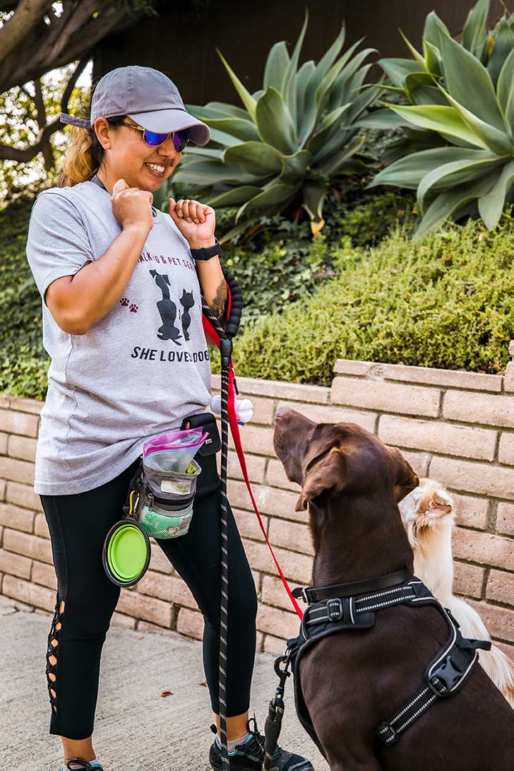 SLMD-Dog-Training